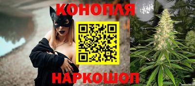 Альфа ПВП Обнинск