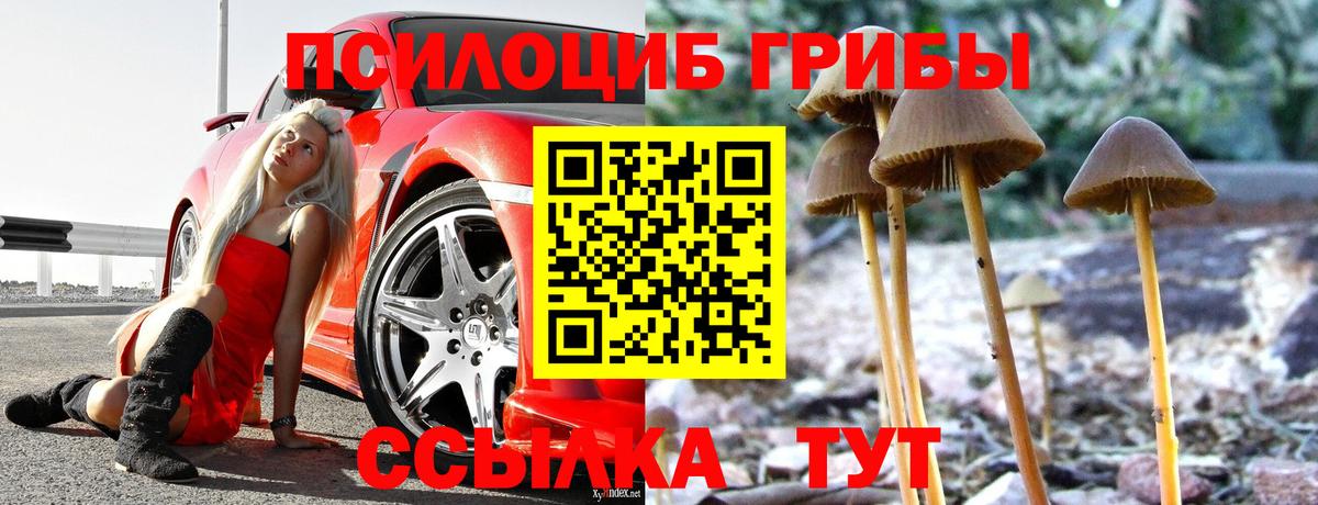 Галлюциногенные грибы MAGIC MUSHROOMS  Вход с VPN  Новокубанск 