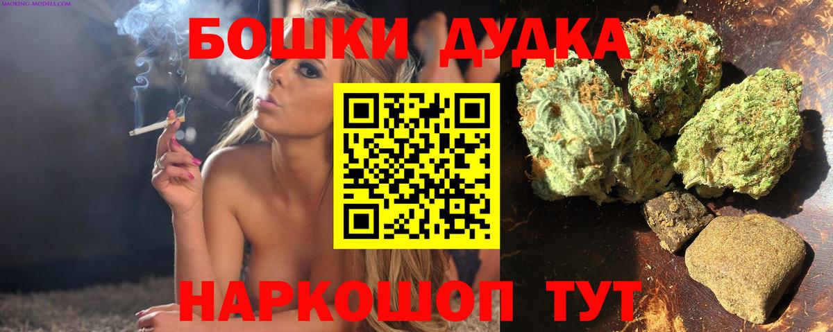 Каннабис сатива  Каннабис планчик  Конопля OG Kush  Вход с VPN  Новокубанск  Марихуана Ganja 